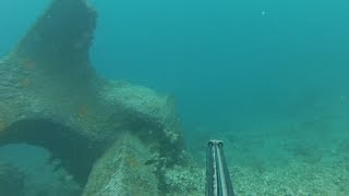 Spearfishing Unicornfish Guam Tataga [upl. by Ethan]