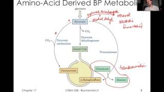 TCA Cycle Reguation and Glyoxylate Cycle [upl. by Desdemona]