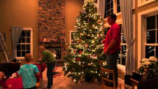 How To Decorate A 14 Foot Christmas Tree In Under 5 Minutes [upl. by Rora154]