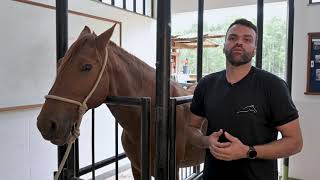 Medicina Veterinária UNIG é referência no Noroeste Fluminense [upl. by Assela]