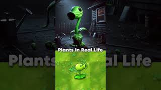 PVZ Plants in real life plantsvszombies funnyshorts pvz funnymoments [upl. by Alimat]