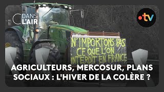 Agriculteurs Mercosur plans sociaux  lhiver de la colère   C dans lair  151124 [upl. by Castle413]