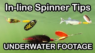 Inline Spinner Fishing Lure Tips and How To Fish Spinners underwater fishing lures [upl. by Aubree]