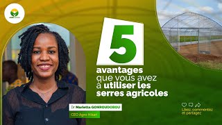 Trucs amp Astuces  05 avantages que vous avez à utiliser une serre agricole [upl. by Jammin26]