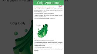 Golgi Apparatus structure and Function [upl. by Llewon783]