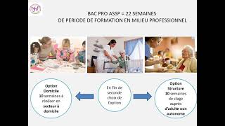 le bac pro ASSP [upl. by Olleina]