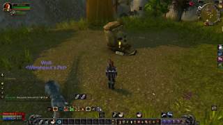 World Of Warcraft Quest Info Explorers League Document 6 of 6 [upl. by Nylakcaj]