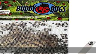 1500 PreFed Live Ladybugs  BuddyBugs  Hippodamia Convergens  Guaranteed Live Delivery  for Aph [upl. by Nnitsuj698]