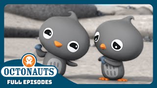 Octonauts  ❄️ The Adelie Penguins 🐧  Season 2  Full Episodes  Cartoons for Kids [upl. by Cesaria]