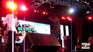 Beres Hammond Live  Rebel Salute 2013  Jamaica [upl. by Annaig]