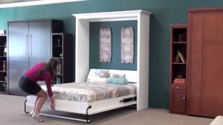 Wall Beds Murphy Wall Beds San Diego 1 [upl. by Arhas]