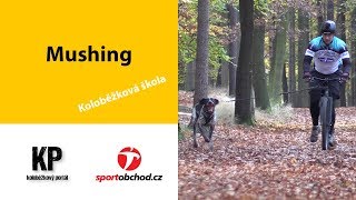 Koloběžková škola  mushing neboli psí spřežení [upl. by Olmstead]