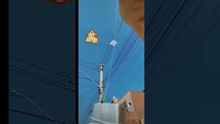 World🌎Smallest Kite Ever Small Patang Flying Kite Lover❤️shorts patangflying small kite viral [upl. by Seravat475]