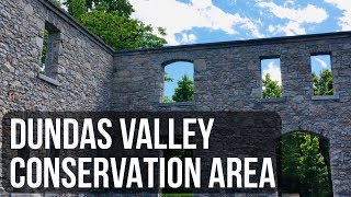 Dundas Valley Conservation Area Overview  Dundas Ontario Canada  Main Loop trail  Part 1 [upl. by Enawyd]