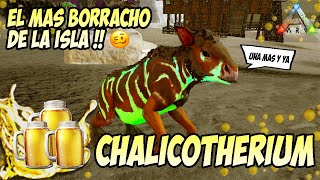 CHALICOTHERIUM tameo super facil  Ark mobile [upl. by Harlow931]