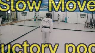 Introductory Poomsae  Back View  White Belt  Slow Move [upl. by Etterb319]