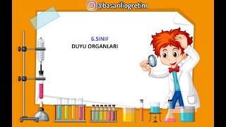 6SINIF DUYU ORGANLARI [upl. by Paton]