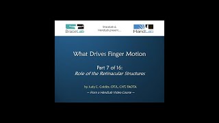 What Drives Finger Motion Part 7 of 16 Role of the Retinacular Structures [upl. by Ru458]