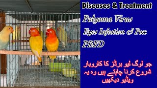 Diseases amp Treatment ll Polyoma Virus Eyes Infection amp PBFD [upl. by Aved775]