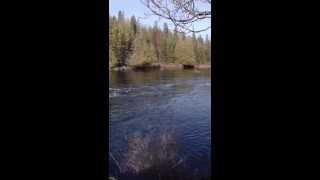 Algonquin Provincial Park and Madawaska ontario fishing [upl. by Geno]