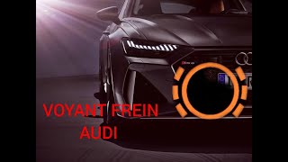 VOYANT FREIN AUDI [upl. by Ahsytal]