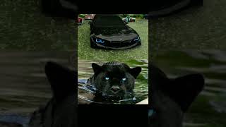 Bmw x Panther fypシviral automobile fortheboys [upl. by Ysdnyl913]