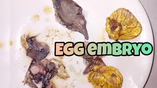 Cracking egg embyo balut egg asmr [upl. by Quint129]