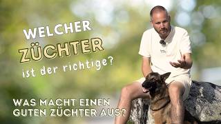 Hund vom Züchter kaufen Worauf Du achten solltest🐕 [upl. by Buchheim]