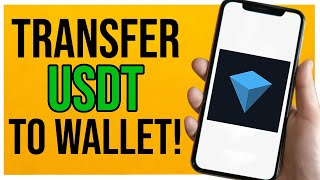 How to Transfer USDT from Tonkeeper to Binance 2024 [upl. by Ormsby]