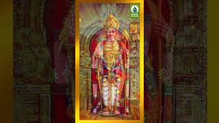 Lord 🙏 Murugan Song HD Video  Murugan Song  Tamil God Status  shorts murugan god tamil [upl. by Gasser]