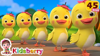 Five Little Ducks  Learn Counting  More Nursery Rhymes amp Baby Songs  Kidsberry [upl. by Stephanie]