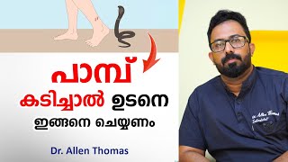 പാമ്പ് കടിച്ചാൽ ഉടനെ ഇങ്ങനെ ചെയ്യണം  snake bite first aid  Dr Allen Thomas [upl. by Aiello]