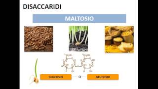 Le biomolecole i carboidrati [upl. by Tekcirc]