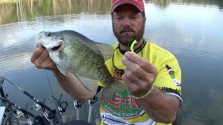 SPIDER RIGGING for Crappie  How to rig up [upl. by Aliuqat]