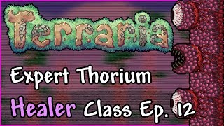 Terraria 13 Expert Thorium Healer Class Let’s Play  Ep 12  Wall of Flesh and Hardmode [upl. by Tyne]