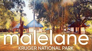 MALELANE  KRUGER NATIONAL PARK A hidden gem where one can really unwind Camps of Kruger Ep 1 [upl. by Kwang]