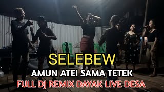 AMUN ATEI SAMA TETEK  LAGU DAYAK VIRAL  Dj Remix By Eva Nadia [upl. by Ahsiloc53]