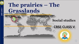 The prairies  The Grasslands  Class 4  What is known as the prairies Where are the grasslands [upl. by Yellhsa]