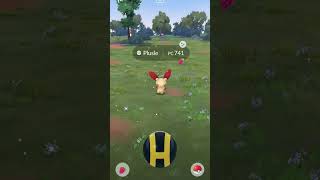 Plusle Shiny Hat Trick pokemongo investigación campo plusle shiny [upl. by Steel561]