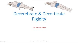 Decrebrate amp Decorticate Rigidity [upl. by Iggy]