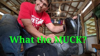 Are MUCK BOOTS worth the   2018 [upl. by Enyahs323]