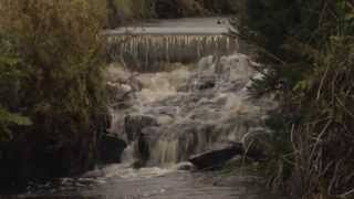 Laphroaig Distillery Tour  Kilbride Stream [upl. by Sanborne]