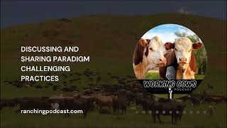 Ep 298 – Dawn Hnatow – Changing Stockmanship  Working Cows [upl. by Sileray319]