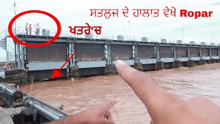 Satluj River ਸਤਲੁਜ ਦੇ ਹਾਲਾਤ ਵੇਖੋ Ropar ਭਾਖੜਾ ਬੰਨ੍ਹ ਤੋਂ ਛੱਡਿਆ ਗਿਆ ਧਾਰਿਆ Flood ਦੇ ਖਤਰੇ ਚ Roper [upl. by Ahsaeym]