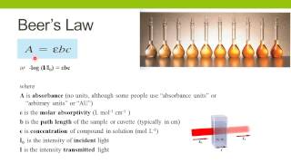 Spectrophotometric Enzyme Assays [upl. by Yoj]