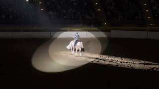 Luke Gingerich and Tinseltowns Whizard 2024 National Western Ram Invitational Freestyle Reining [upl. by Atinrev]