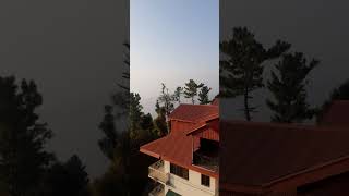 Nathia Gali view enjoy naturevairalvideo like subscribe [upl. by Whalen882]