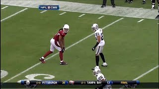 Larry Fitzgerald vs Nnamdi Asomugha 2010  WR vs CB Matchup [upl. by Jeritah]