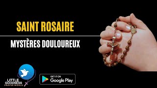 SAINT ROSAIREMystères Douloureux HOLY ROSARY IN FRENCHSorrowful MysteriesTuesday amp Friday Rosary [upl. by Coucher994]