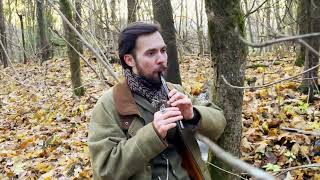 Concerning Hobbits tin whistle cover by Daniel K [upl. by Hilel502]